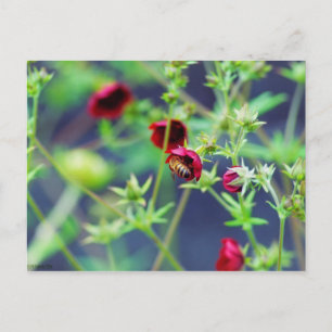 Postal La abeja con la flor roja