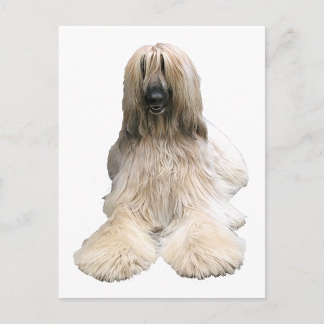 Postal La afgana de Helaine (Anverso)