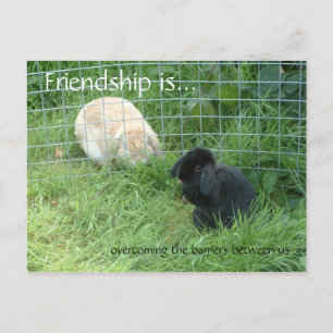 Postal La amistad está... superando las barreras entre