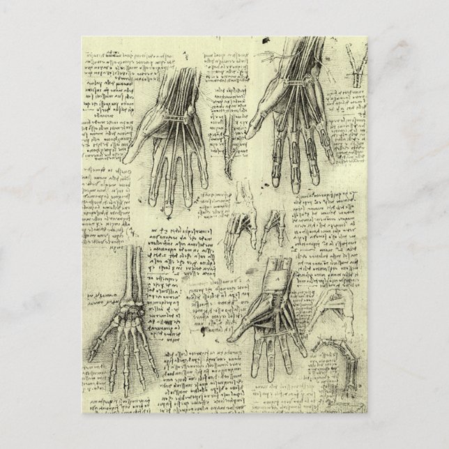 Postal La anatomía de la mano humana de Leonardo da Vinci (Anverso)