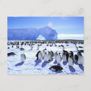 Postal La Antártida, península antártica, mar de Weddell,