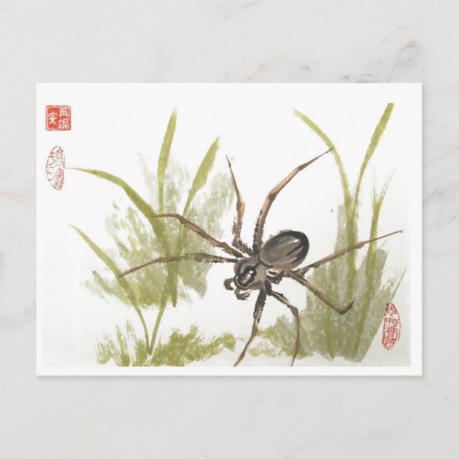 Postal La araña confusa en blanco (Anverso)