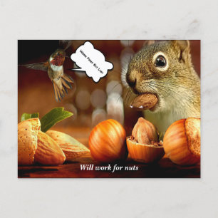 Postal La ardilla funcionará para las nueces Postcard