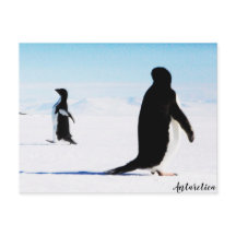 La bailarina y amiga Adélie Penguin