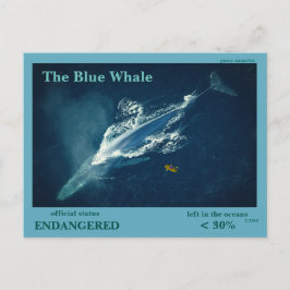 Postal La ballena azul está en peligro -