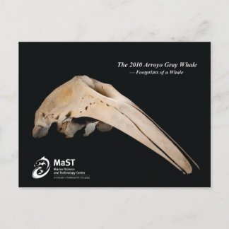 Postal La ballena gris de Arroyo 2010 - Huellas de una ba