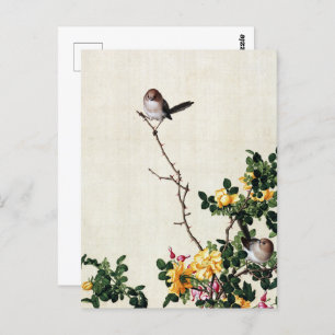 Postal La barbera amarilla y el pescado con el Bella Arte