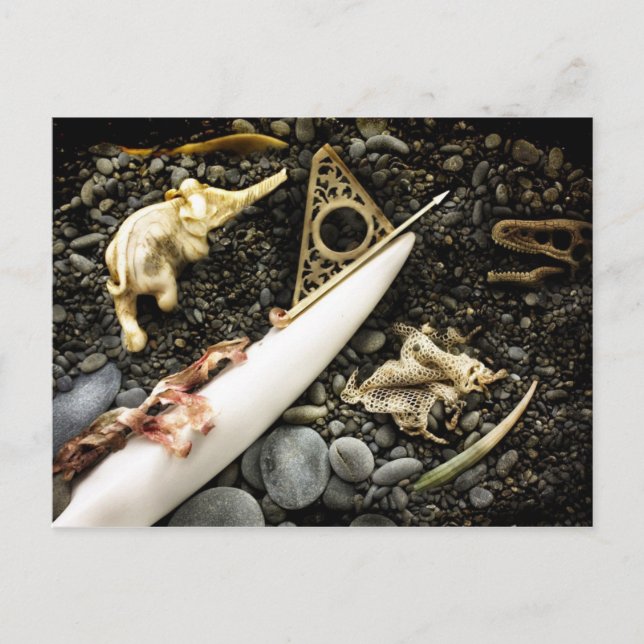 Postal La Beaching (Anverso)