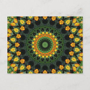 Postal La bella Naranja y el amarillo Lantana Kaleidoscop