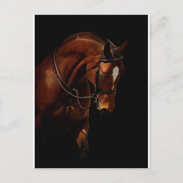 Postal La belleza (Anverso)