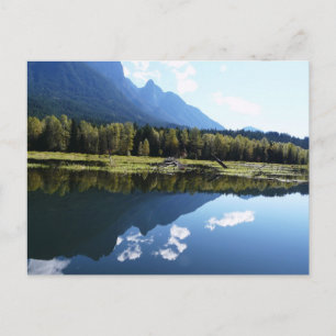 Postal La belleza de la naturaleza reflejada