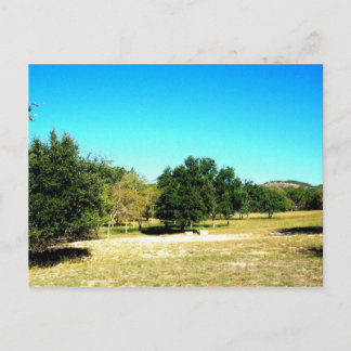 Postal La Belleza De La Postcarta De Bandera Texas