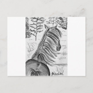 Postal La belleza de los caballos No.1