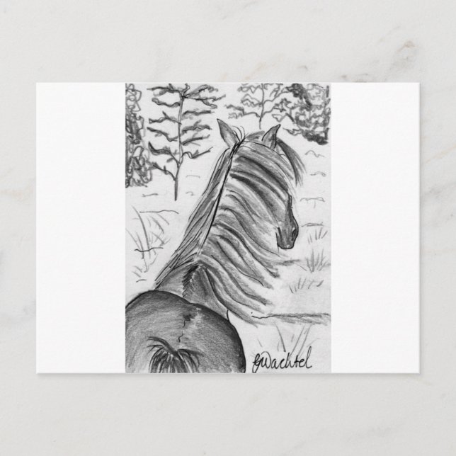 Postal La belleza de los caballos No.1 (Anverso)