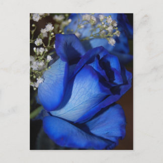 Postal La Belleza Del Azul