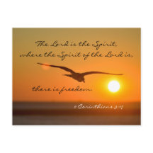 La Biblia Libertad versus el Personalizado Ave vol