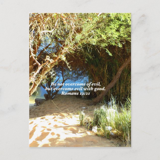 Postal La Biblia Versa La Cita Del Amor Que Dice Los Roma (Anverso)