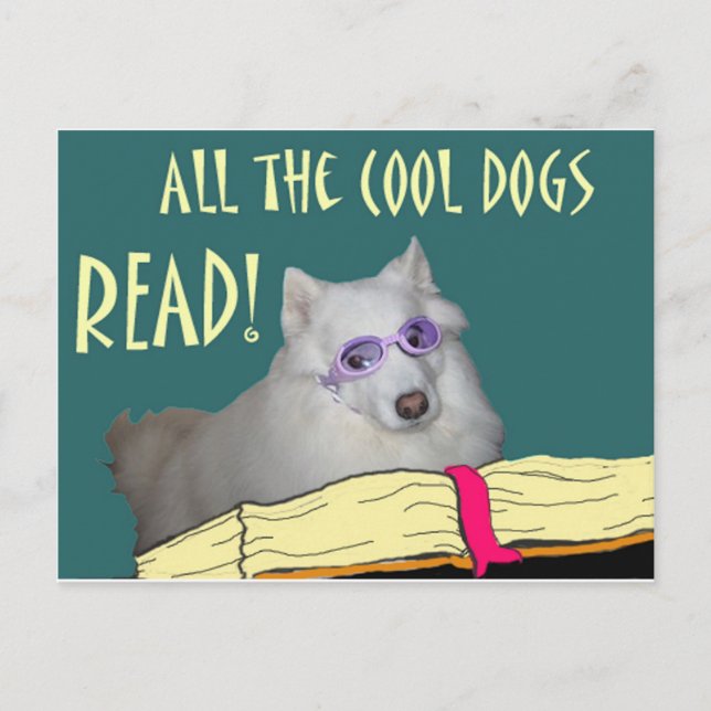 Postal La biblioteca - samoyedo - los perros frescos leyó (Anverso)
