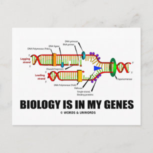 Postal La Biología Está En Mis Genes (Replicación De ADN)