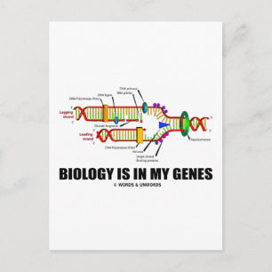 Postal La Biología Está En Mis Genes (Replicación De ADN)
