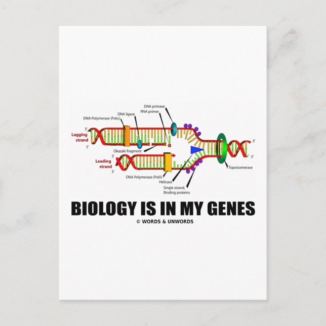Postal La Biología Está En Mis Genes (Replicación De ADN) (Anverso)