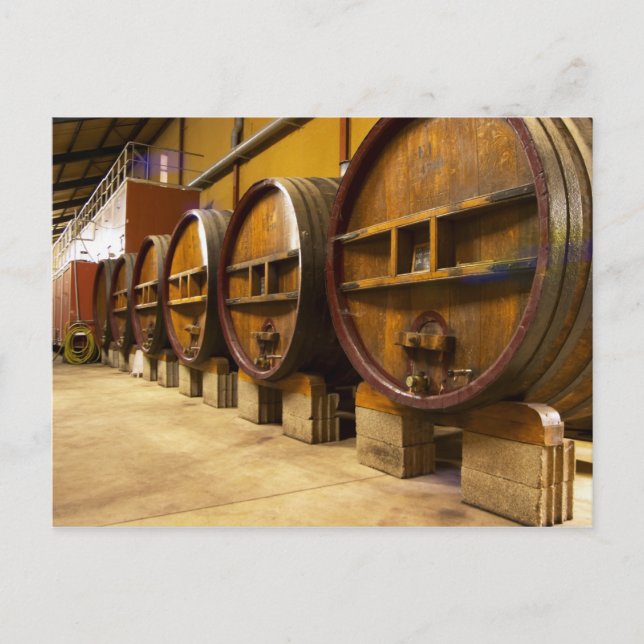 Postal La bodega de la bodega con grandes y viejos barril (Anverso)