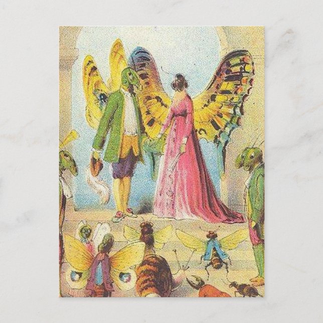 Postal La bola de la mariposa (Anverso)