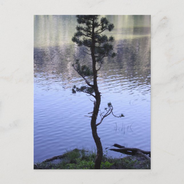 Postal La bondad importa (Anverso)