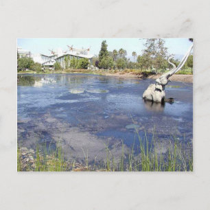 Postal La Brea Tarpits Ponds Museos