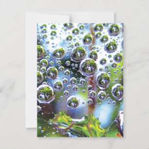 Postal La cacería de dew cae al cielo, memerizando el bot