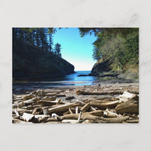 Postal La cala del hombre muerto, la decepción del Cabo, 