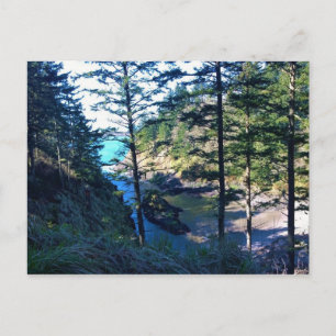 Postal La cala del hombre muerto, la decepción del Cabo,