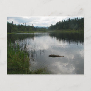 Postal La calma del lago Padden