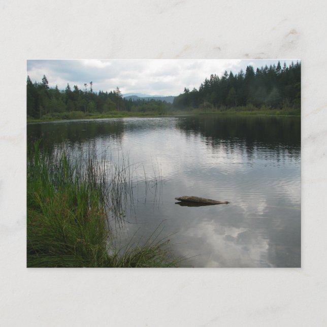 Postal La calma del lago Padden (Anverso)