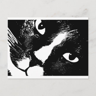 Postal La cara de gato blanco y negro se acerca