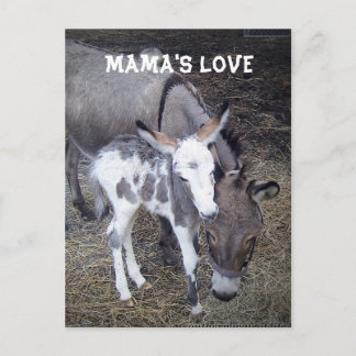 Postal La carta de amor de mamá