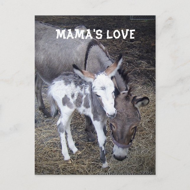 Postal La carta de amor de mamá (Anverso)