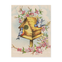 La casa de pájaros