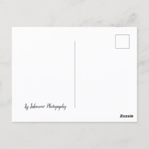 Postal La casa del camino largo - auto en la autopista