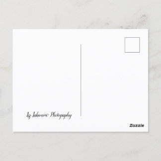 Postal La casa del camino largo - auto en la autopista