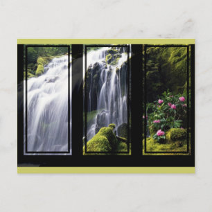 Postal La cascada de la selva - Triptych Digital Art Post