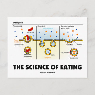 Postal La Ciencia De La Comida (Humor De Endocytosis Biol