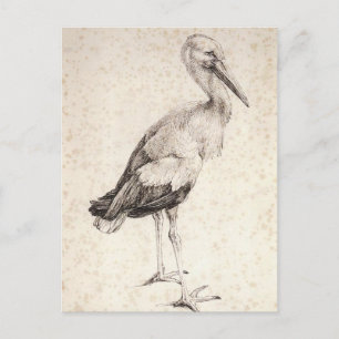 Postal La cigüeña de Albrecht Durer