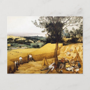 Postal La cosecha de maíz - 1565