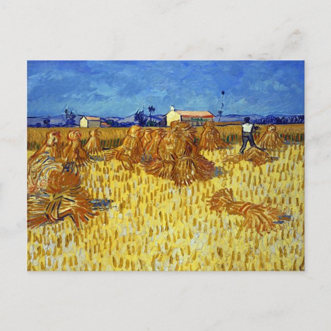 Postal La cosecha de maíz Vincent van Gogh en la Provenza (Anverso)