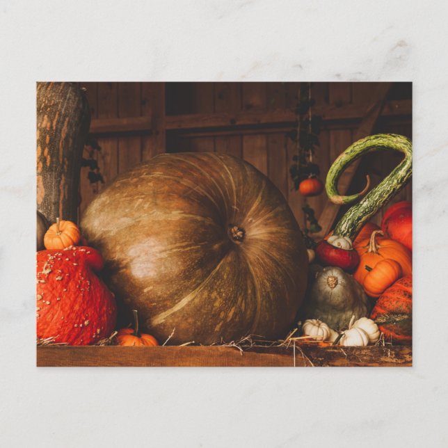 Postal La cosecha de otoño calza calabazas de duelo por l (Anverso)