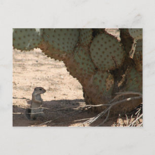 Postal La criadora de Kenny