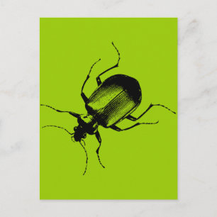 Postal La cucaracha