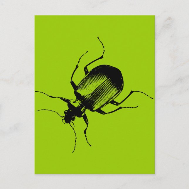Postal La cucaracha (Anverso)
