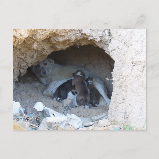 Postal La Cueva (Anverso)